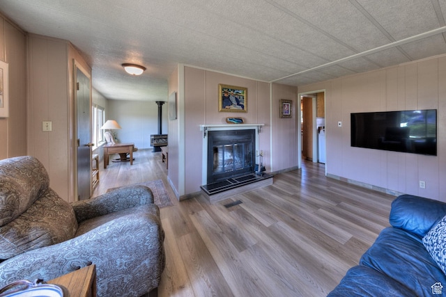 1281 Holyoak Ln E, Moab, UT 84532 - living area with wood finished floors, a wood stove, a decorative wall, a glass covered fireplace, and a textured ceiling