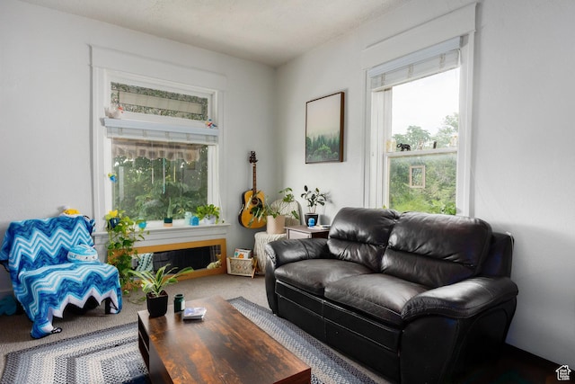 343 S 1300 E, Salt Lake City, UT 84102 - view of carpeted living room