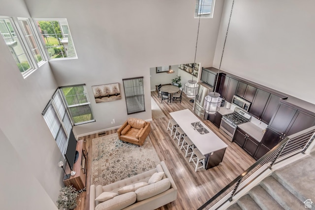 10363 S Silver Mine Rd, South Jordan, UT 84009 - living area with a towering ceiling and light wood-type flooring