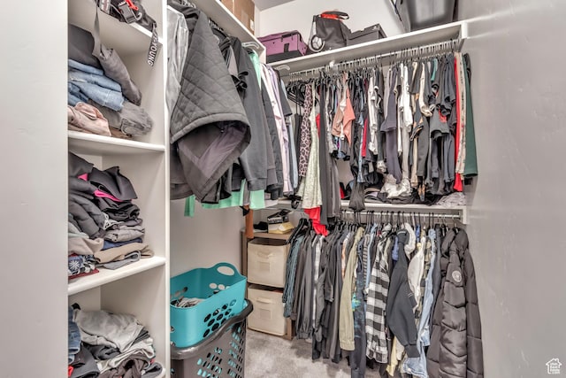 10363 S Silver Mine Rd, South Jordan, UT 84009 - view of spacious closet