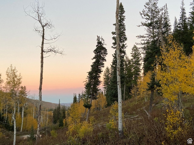 1624 Pine Cone Cir, Coalville, UT 84017 - view of nature at dusk