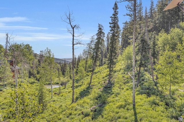 1624 Pine Cone Cir, Coalville, UT 84017 - mountain view with a forest
