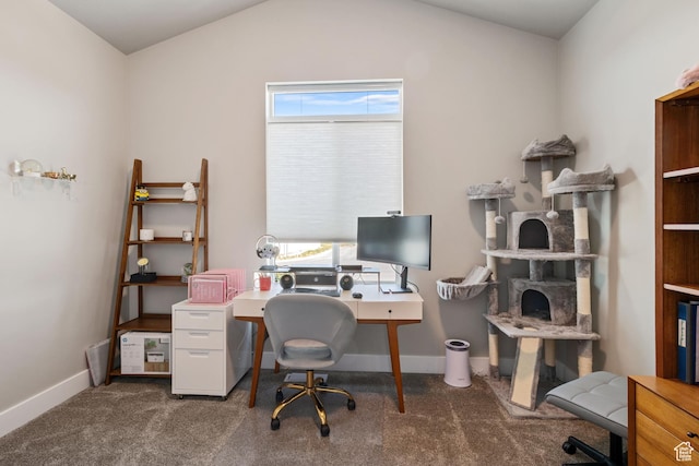 507 W 2030 N, Tooele, UT 84074 - carpeted office space with baseboards and lofted ceiling