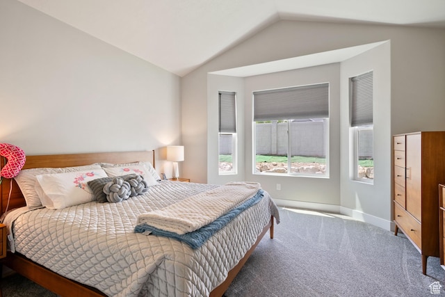 507 W 2030 N, Tooele, UT 84074 - carpeted bedroom featuring lofted ceiling and baseboards