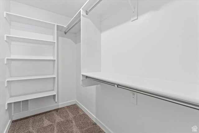 11568 S Watercourse Rd, South Jordan, UT 84009 - spacious closet featuring dark colored carpet