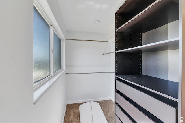 780 Loader Dr, Pleasant Grove, UT 84062 - spacious closet featuring carpet