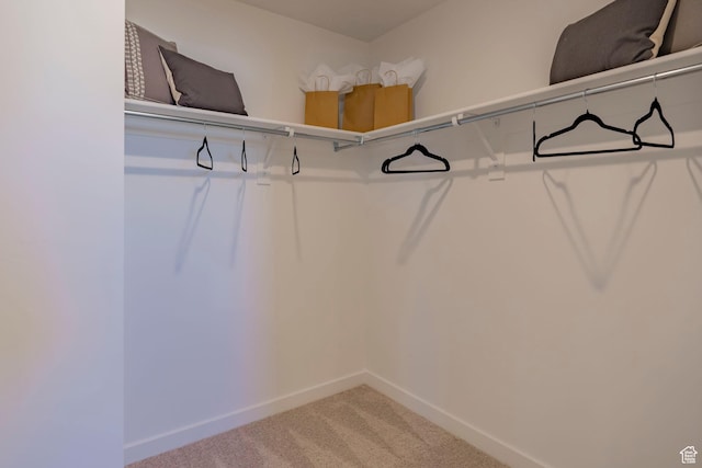 1710 N 784 W, Salem, UT 84653 - walk in closet featuring light colored carpet