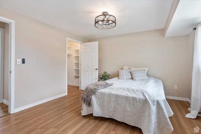 315 E 900 N, Brigham City, UT 84302 - bedroom with light wood-style floors and a spacious closet