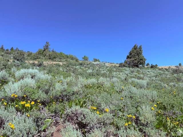 1509 W Cedar Dr Unit 18, Garden City, UT 84028