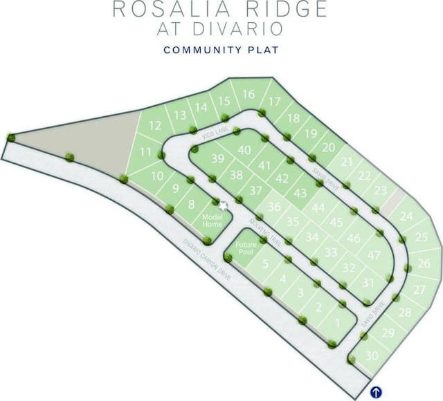 3 Rosalia Rdg, St George, UT 84770 - map / location