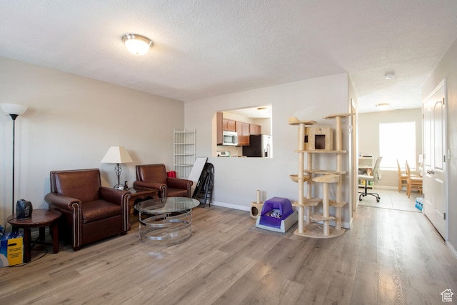 3408 S Carrick Dr W, South Salt Lake, UT 84115 - living area featuring light wood finished floors and a textured ceiling