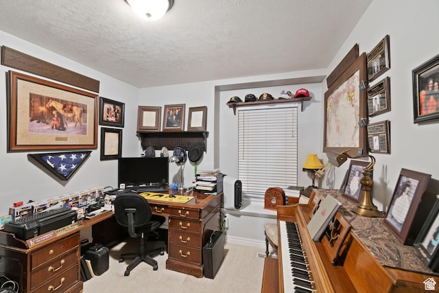 969 S Cove Rd, Saratoga Springs, UT 84045 - office area featuring carpet floors and a textured ceiling