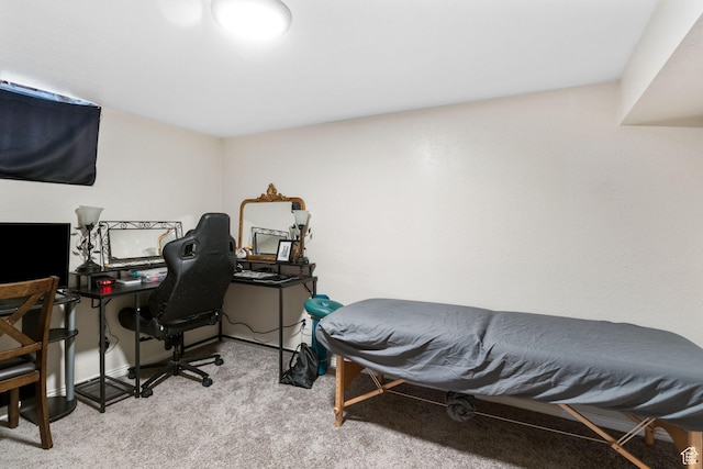 4895 W Pavant Ave, West Valley City, UT 84120 - view of carpeted home office