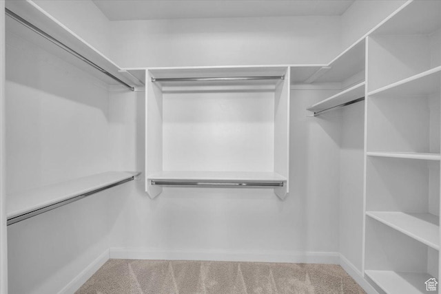 424 N Highland Pkwy, Washington, UT 84780 - walk in closet with carpet floors