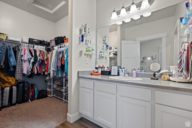4064 W 1850 N Unit F302, Lehi, UT 84043 - bathroom with vanity, wood finished floors, and a spacious closet