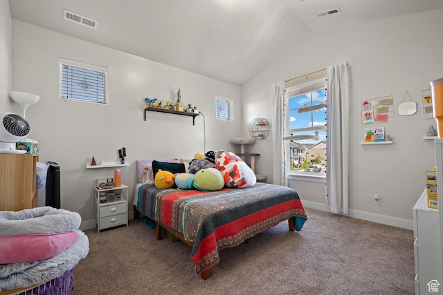 4064 W 1850 N Unit F302, Lehi, UT 84043 - bedroom featuring vaulted ceiling and carpet floors