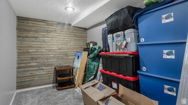5667 S Aspen Ct E, South Ogden, UT 84403 - playroom with wooden walls and carpet