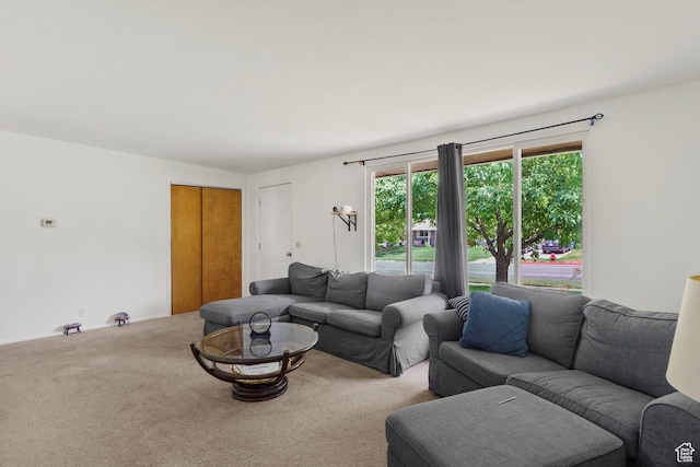 4299 Monroe Blvd, South Ogden, UT 84403 - view of carpeted living room