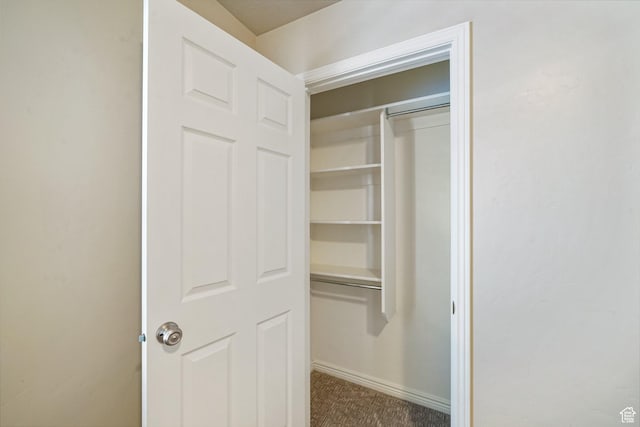 2051 E 1180 S, Spanish Fork, UT 84660 - view of closet