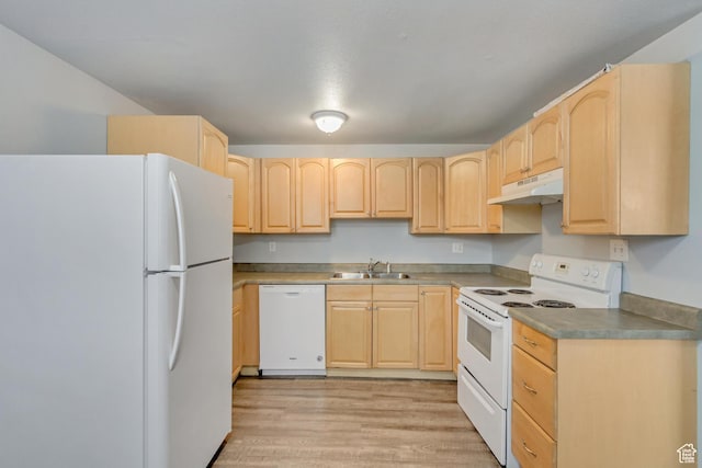 641 E Swenson Ave Unit 1, Springville, UT 84663 - kitchen featuring white appliances, light brown cabinets, under cabinet range hood, and light wood-type flooring