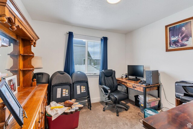 128 E 840 N, Santaquin, UT 84655 - view of carpeted office