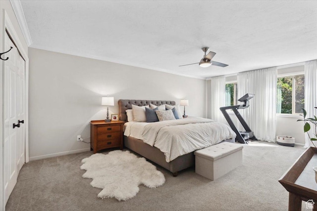 2494 E Murray Holladay Rd S, Holladay, UT 84117 - bedroom featuring carpet, a ceiling fan, and crown molding