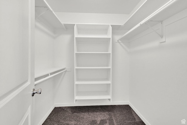 419 E 475 N, Ogden, UT 84404 - spacious closet featuring carpet floors