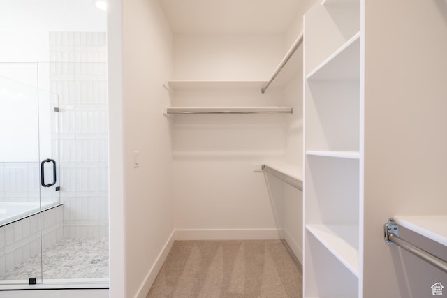 335 E Ventura Blvd, Stansbury Park, UT 84074 - walk in closet with light carpet