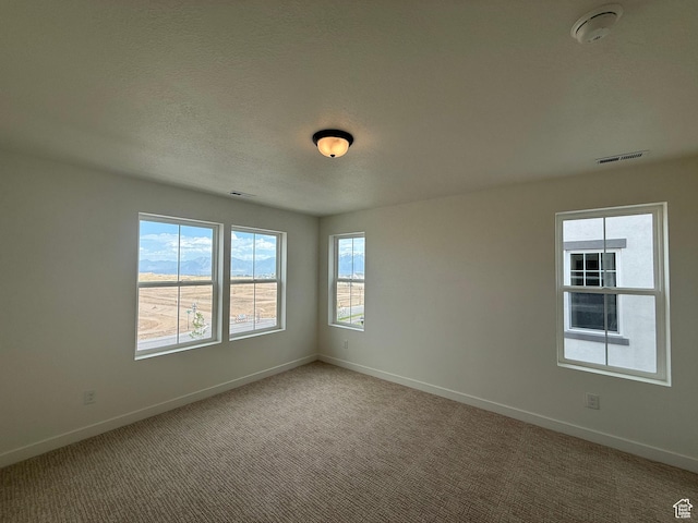 6927 W S Jordan Pkwy, South Jordan, UT 84009 - empty room with light carpet, a smoke detector, and a textured ceiling