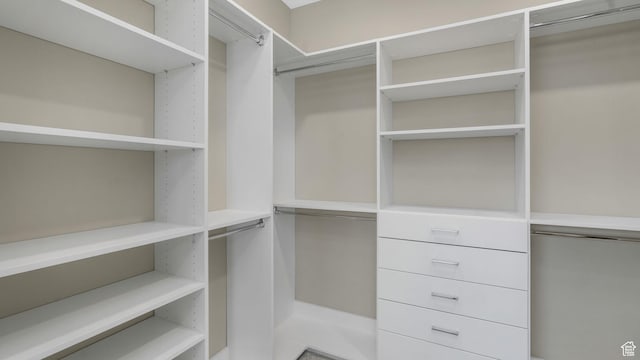 7233 W Summit Top Ln, Herriman, UT 84096 - view of spacious closet