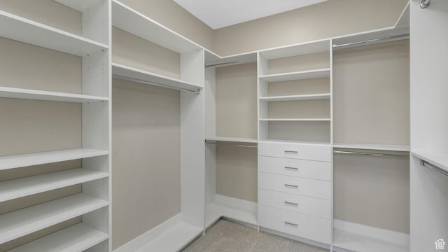 7233 W Summit Top Ln, Herriman, UT 84096 - view of walk in closet