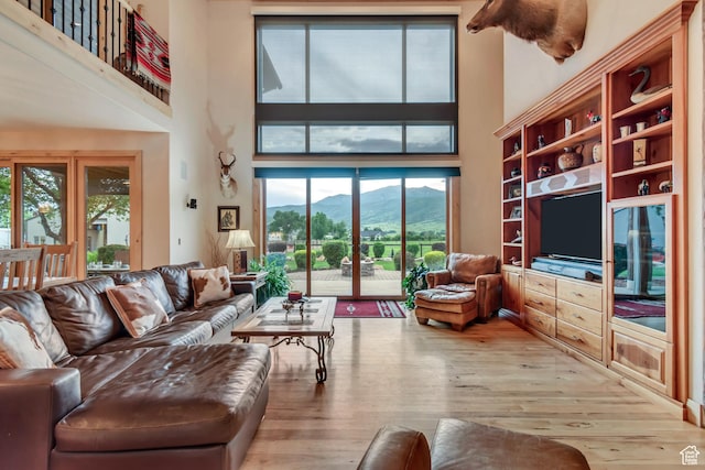 2984 Winterton Rd, Charleston, UT 84032 - living area featuring a towering ceiling and hardwood / wood-style floors