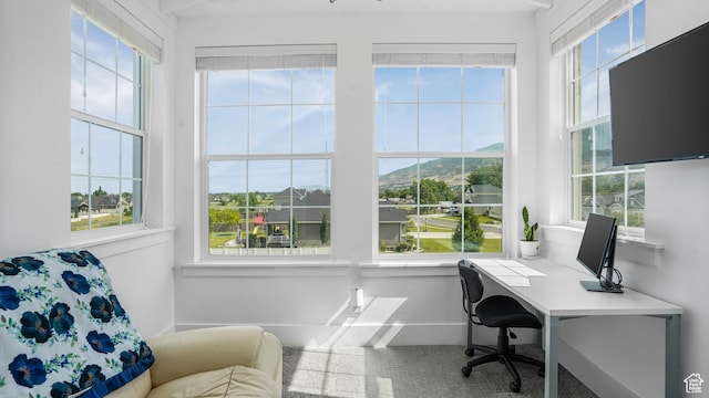 721 W Glovers Ln, Farmington, UT 84025 - office area featuring plenty of natural light