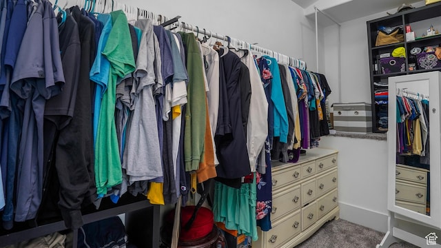 721 W Glovers Ln, Farmington, UT 84025 - walk in closet featuring carpet floors