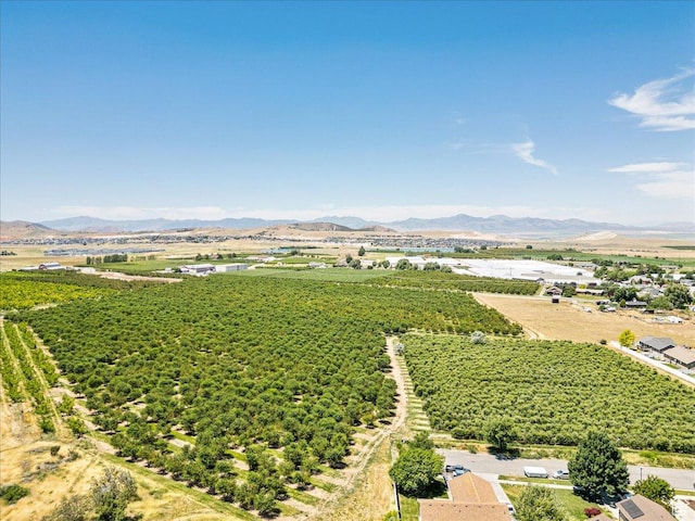 655 S 100 W, Santaquin, UT 84655 - view of rural area with a mountain backdrop and farmland