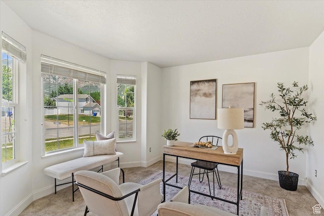 677 E 2900 N, North Ogden, UT 84414 - home office featuring healthy amount of natural light and light colored carpet