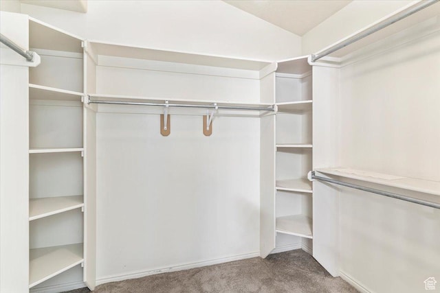 677 E 2900 N, North Ogden, UT 84414 - spacious closet featuring carpet