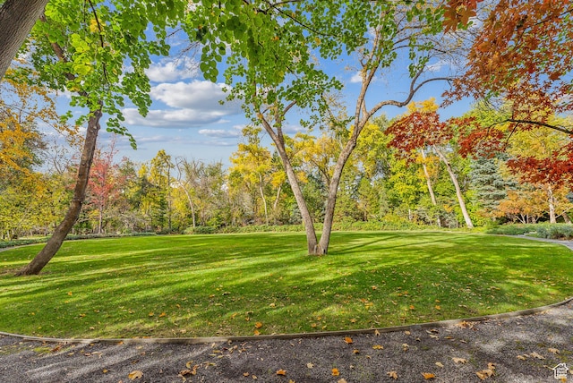 6033 S 2300 E, Holladay, UT 84121 - view of green lawn