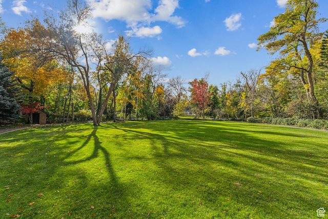 6033 S 2300 E, Holladay, UT 84121 - view of green lawn