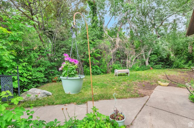 1162 N Newport Ln E, Kaysville, UT 84037 - view of yard