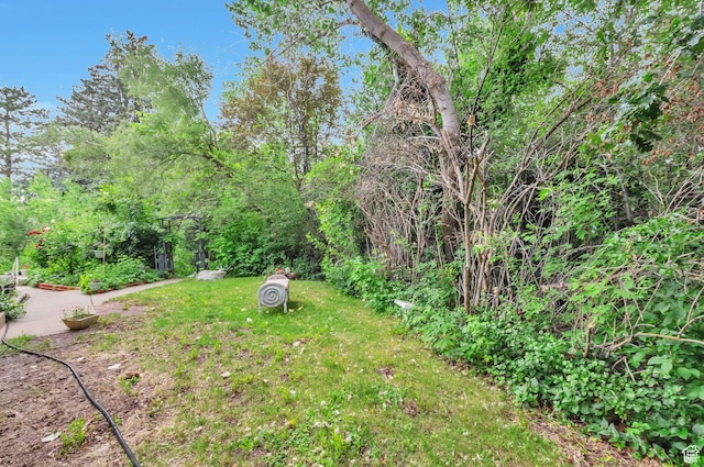 1162 N Newport Ln E, Kaysville, UT 84037 - view of grassy yard