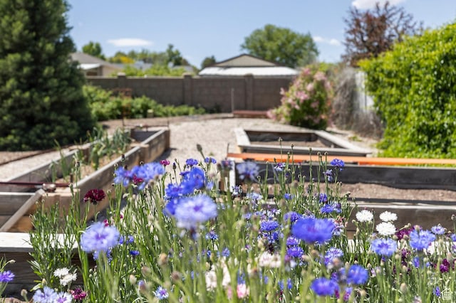9532 S Willow Trail Way S, Jordan, UT 84095 - exterior view of a garden and a fenced backyard