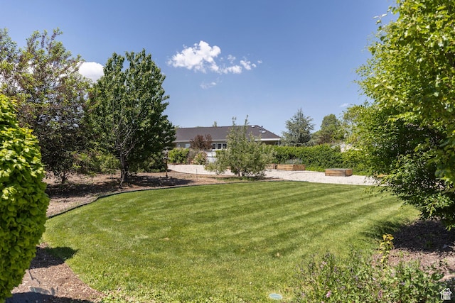 9532 S Willow Trail Way S, Jordan, UT 84095 - view of grassy yard