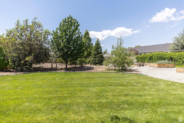 9532 S Willow Trail Way S, Jordan, UT 84095 - view of grassy yard
