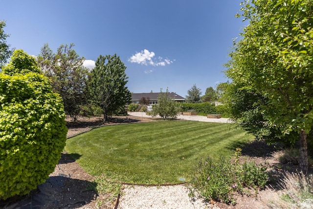9532 S Willow Trail Way S, Jordan, UT 84095 - view of grassy yard