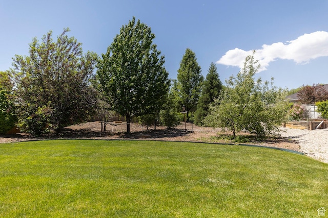 9532 S Willow Trail Way S, Jordan, UT 84095 - view of green lawn