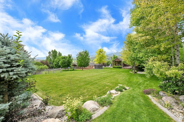 3990 Summer Ridge Rd, Morgan, UT 84050 - view of yard