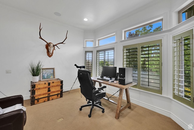 3990 Summer Ridge Rd, Morgan, UT 84050 - office space with ornamental molding and baseboards