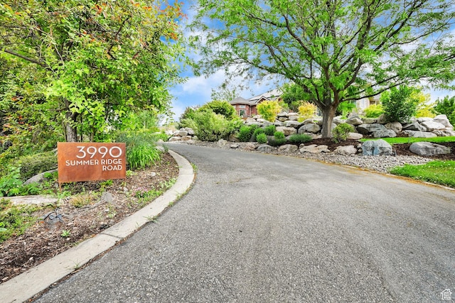 3990 Summer Ridge Rd, Morgan, UT 84050 - view of asphalt road with curbs