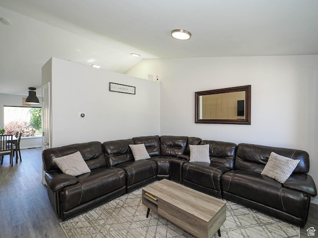 4242 W 11430 S, South Jordan, UT 84009 - living room featuring vaulted ceiling and wood finished floors